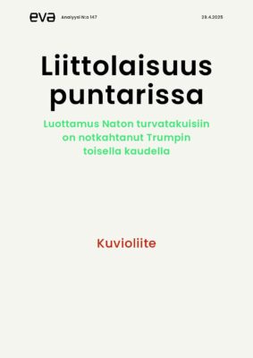 Download: Kuvioliite