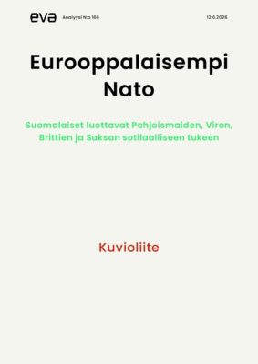 Download: Kuvioliite